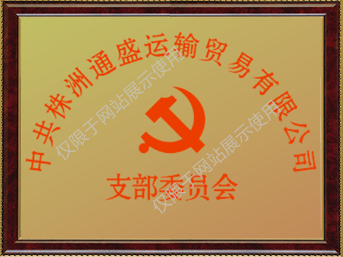 党支部委员会